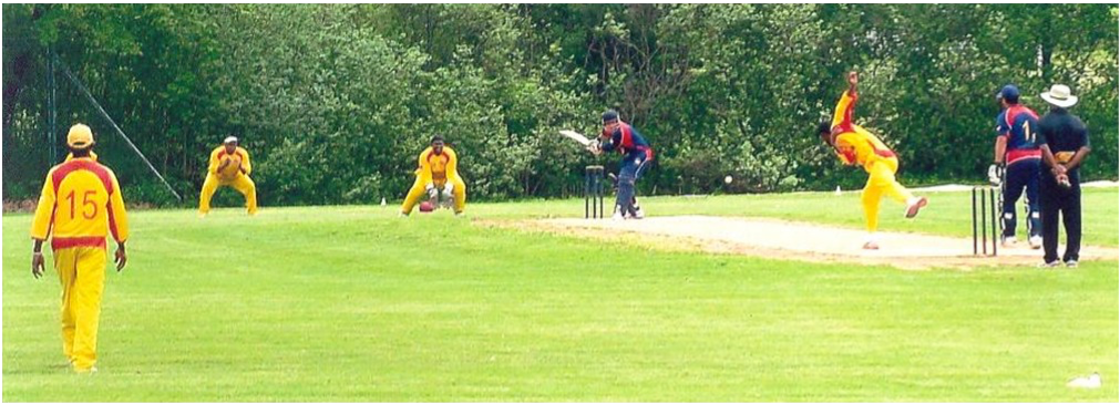 Cricket was once a popular sport in the USA
