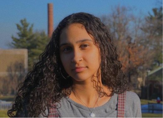 Thanks Sahian and Jatin The CRICKET HALL OF FAME IS NOW ON WIKIPEDIA